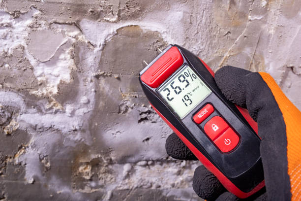 Best Water Damage Restoration  in Lifornia Polytechnic State University, CA