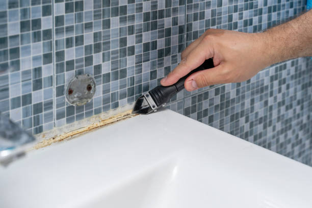 Best Black Mold Removal  in Lifornia Polytechnic State University, CA