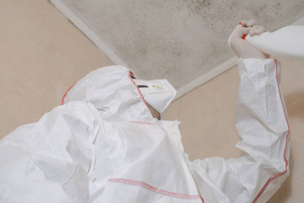 Best Attic Mold Removal  in Lifornia Polytechnic State University, CA