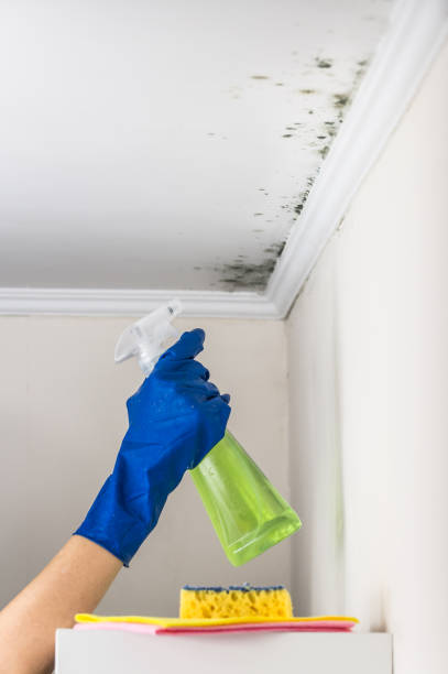Best Toxic Mold Removal  in Lifornia Polytechnic State University, CA
