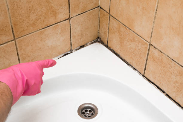California Polytechnic State University, CA Mold Removal Company